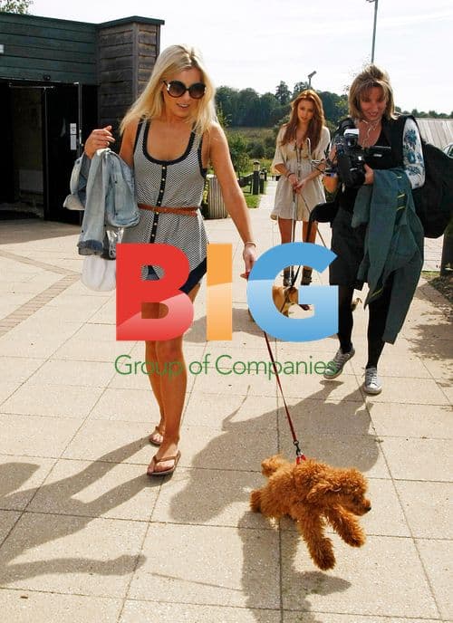 Mollie King and Una Healy go dog training