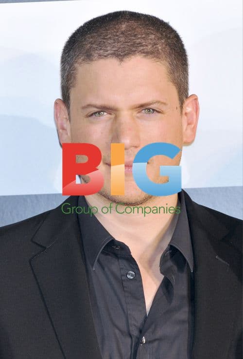 Wentworth Miller at 'Resident Evil' Premiere in Tokyo