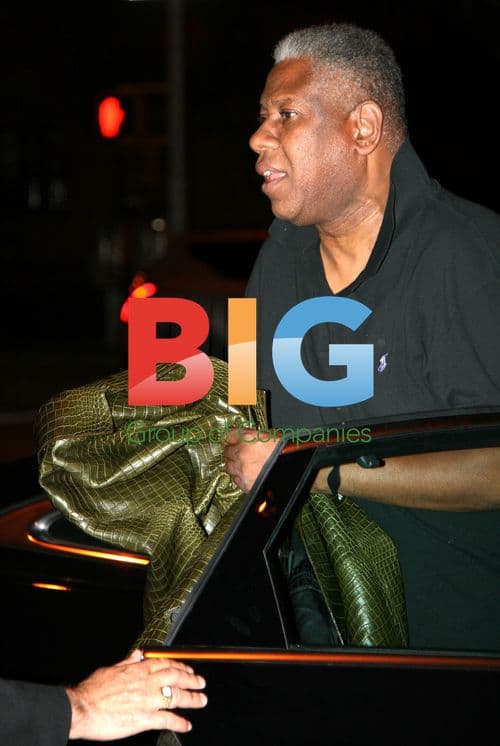 Andre Leon Talley at MBFW Spring 2011