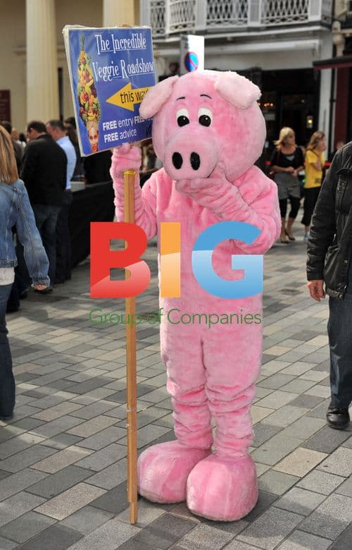 Heather Mills at Viva Veggie Roadshow