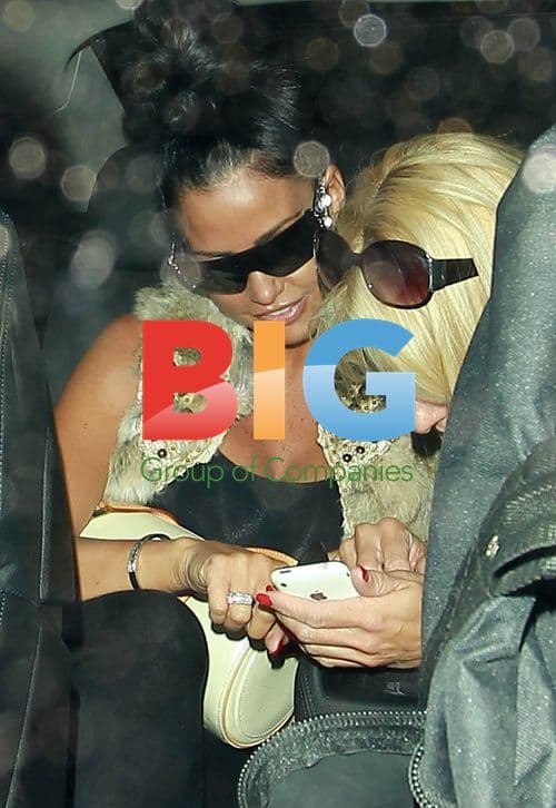 Katie Price Arrives at Heathrow