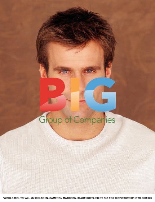 Cameron Mathison of All My Children