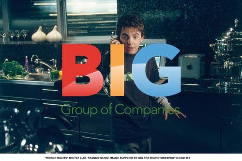 BIG FAT LIAR - Frankie Muniz