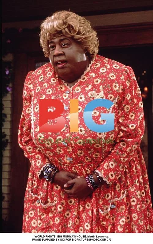 Martin Lawrence in Big Momma's House