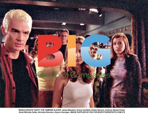 BUFFY THE VAMPIRE SLAYER cast