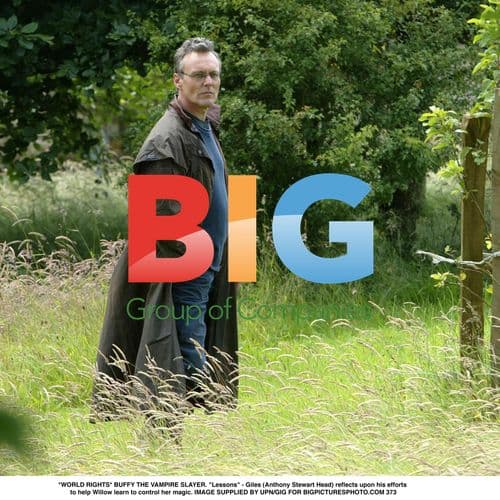 Giles Reflects on Willow's Magic