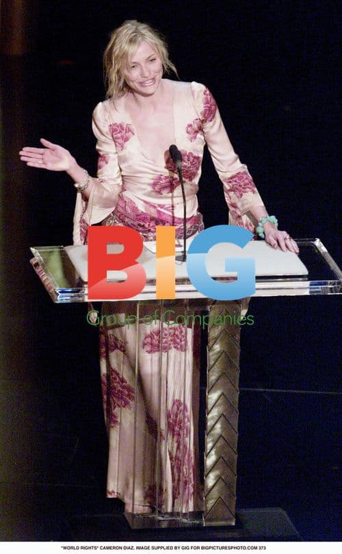 Cameron Diaz in Pink Floral Dress