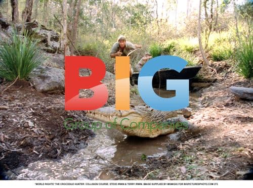 THE CROCODILE HUNTER: COLLISION COURSE