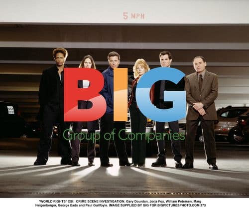 CSI: Crime Scene Investigation Cast