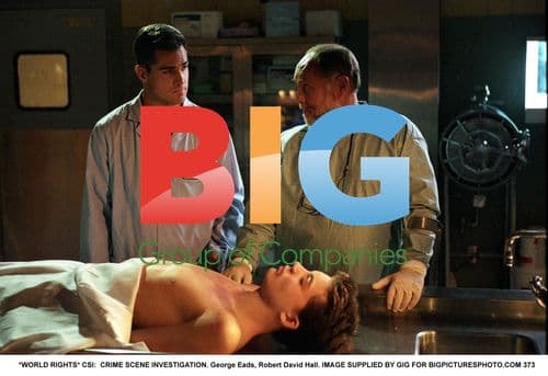 CSI: George Eads and Robert David Hall