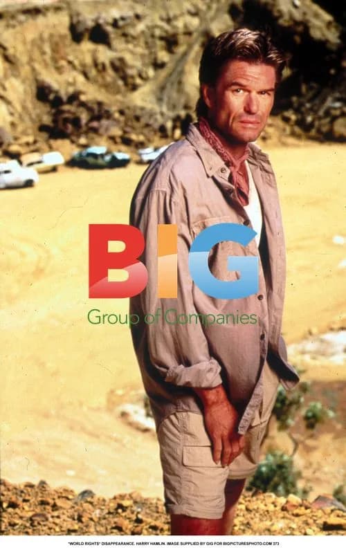 HARRY HAMLIN in DISAPPEARANCE