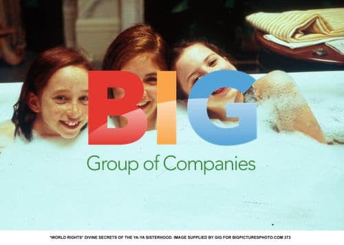 DIVINE SECRETS OF THE YA-YA SISTERHOOD