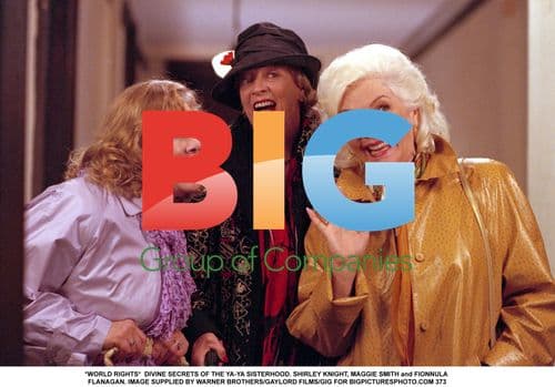 DIVINE SECRETS OF THE YA-YA SISTERHOOD