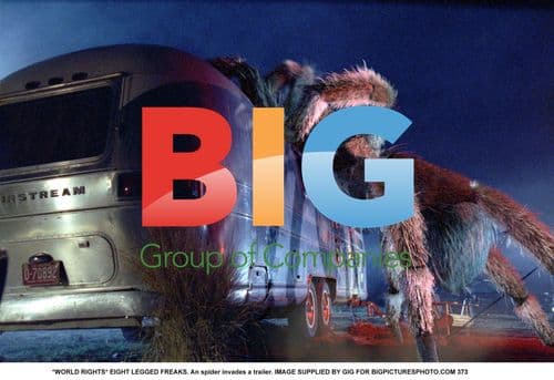 Spider invades trailer