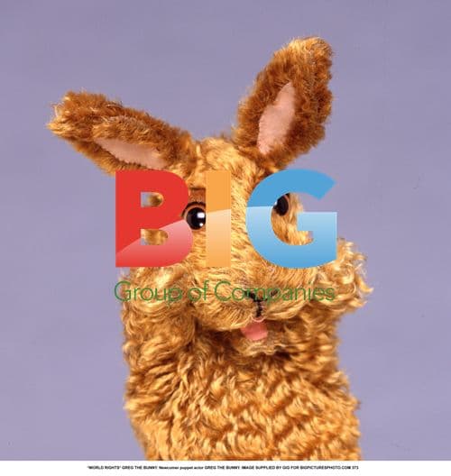 Newcomer puppet actor GREG THE BUNNY
