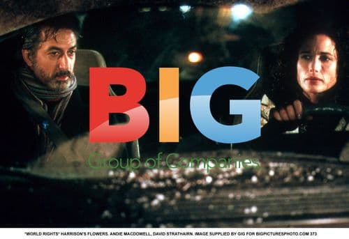 HARRISON'S FLOWERS - ANDIE MACDOWELL, DAVID STRATHAIRN