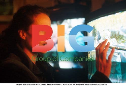 HARRISON'S FLOWERS. ANDIE MACDOWELL