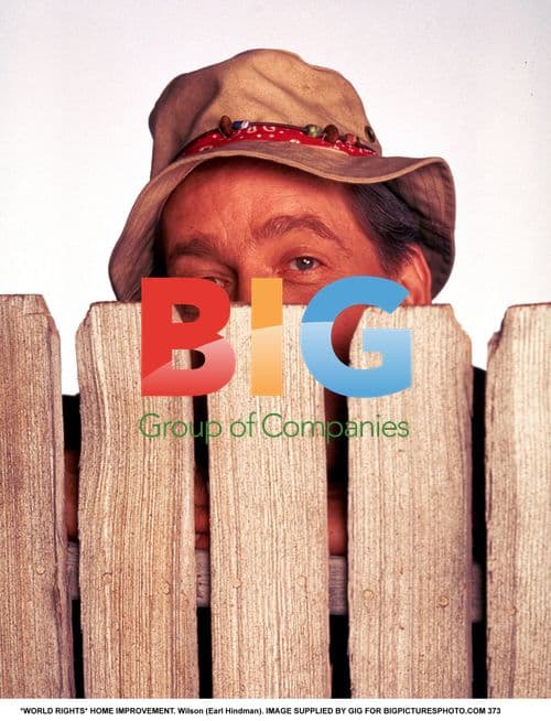 Wilson from Home Improvement