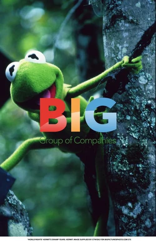 KERMIT'S SWAMP YEARS