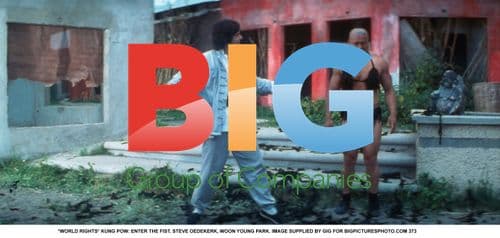 KUNG POW: ENTER THE FIST