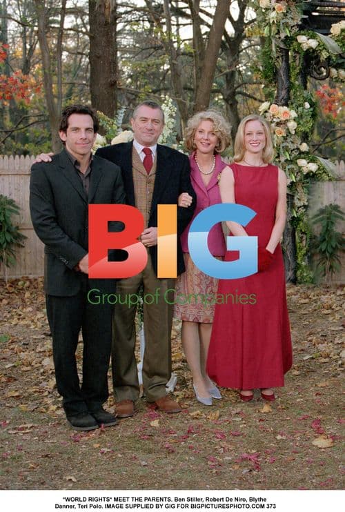 MEET THE PARENTS film still