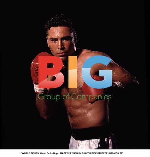 Oscar De La Hoya Portrait