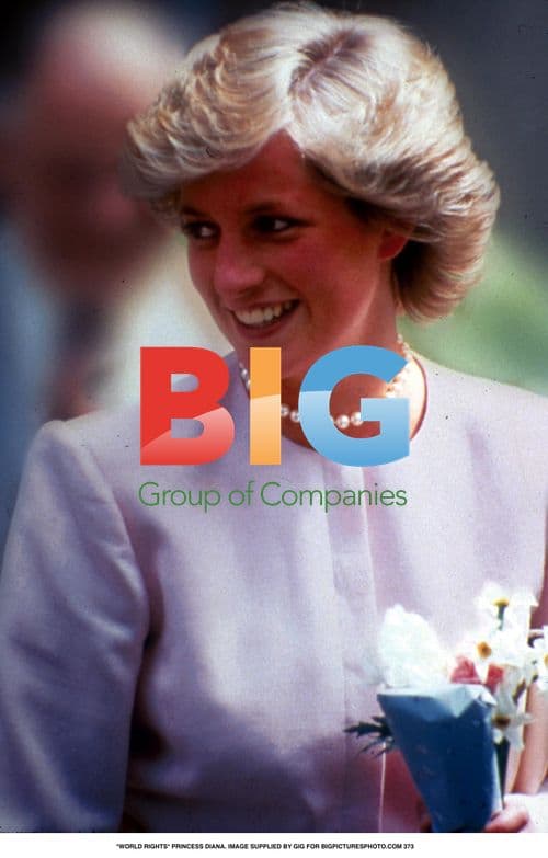 Princess Diana in Purple Dress