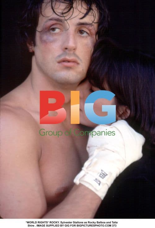 Sylvester Stallone as Rocky Balboa