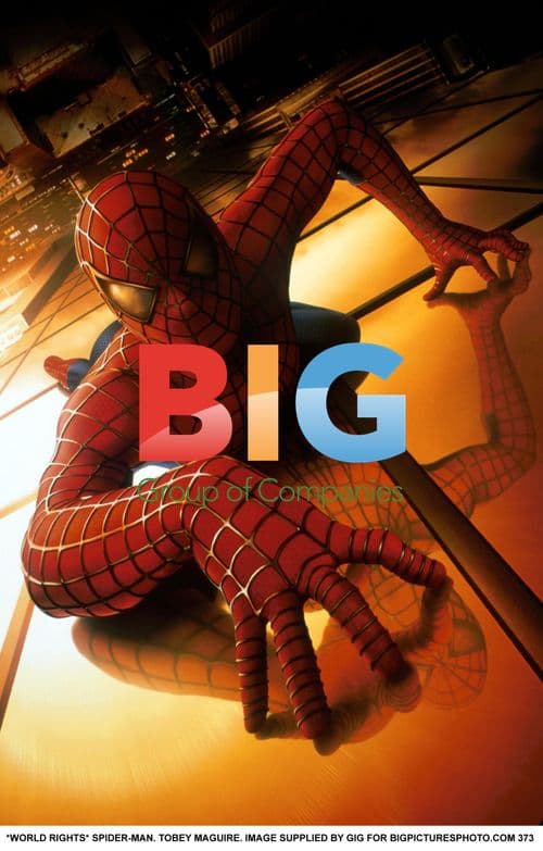 Tobey Maguire as Spider-Man