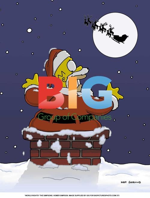 Homer Simpson from The Simpsons