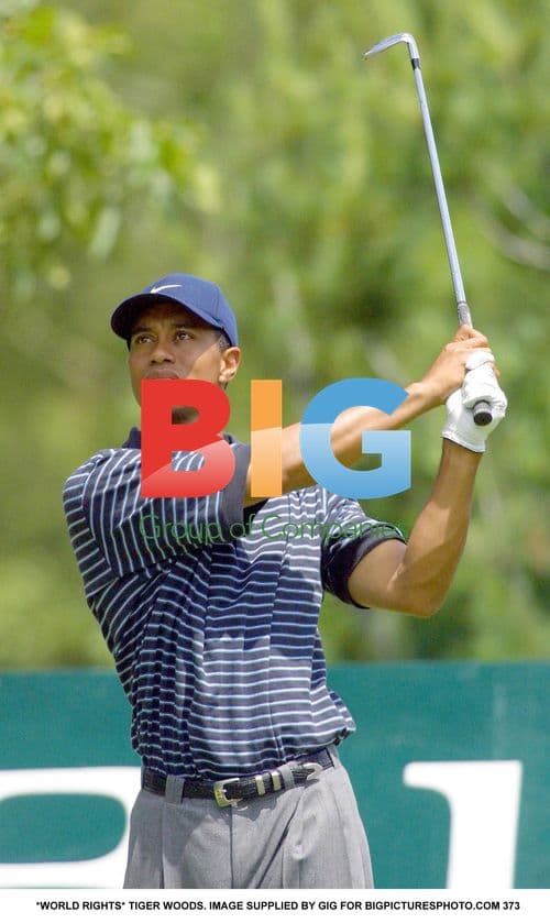 Tiger Woods Golfer with Golf Clubs