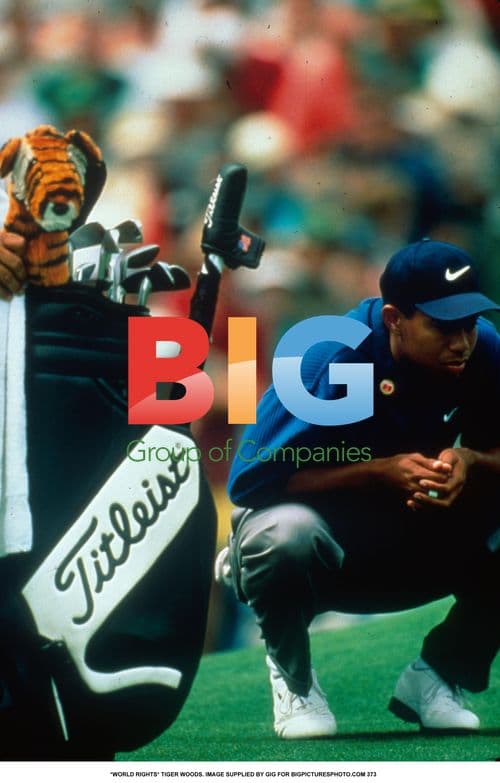 Tiger Woods Golfing