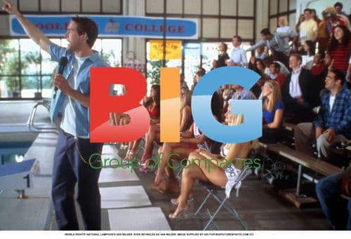 RYAN REYNOLDS AS VAN WILDER