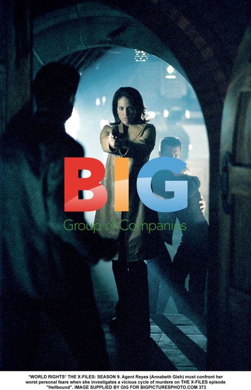 THE X-FILES: SEASON 9 - Agent Reyes