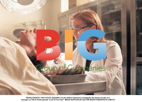 Scully investigates murder on X-Files