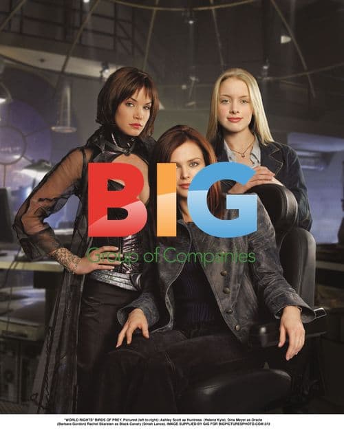 BIRDS OF PREY Photo Call