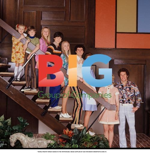 Brady Bunch In The Whitehouse