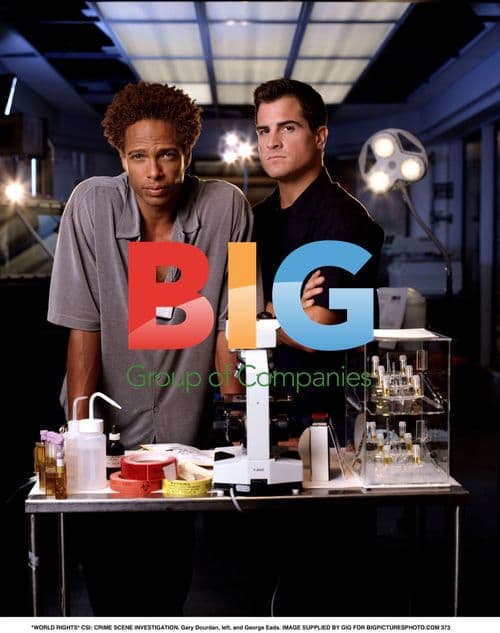 CSI Stars Dourdan and Eads