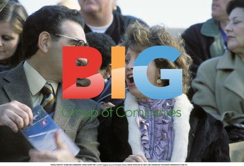 DUMB AND DUMBERER: WHEN HARRY MET LLOYD