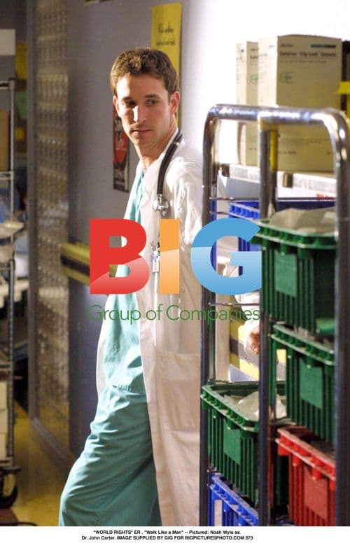 Noah Wyle as Dr. John Carter