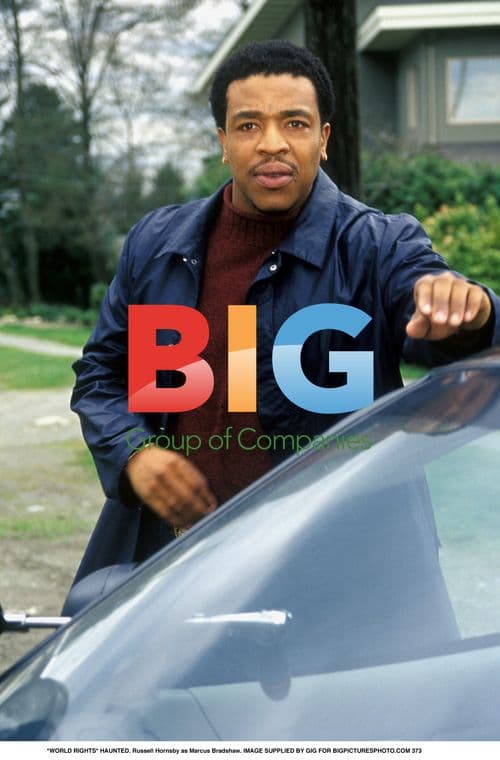 Russell Hornsby as Marcus Bradshaw