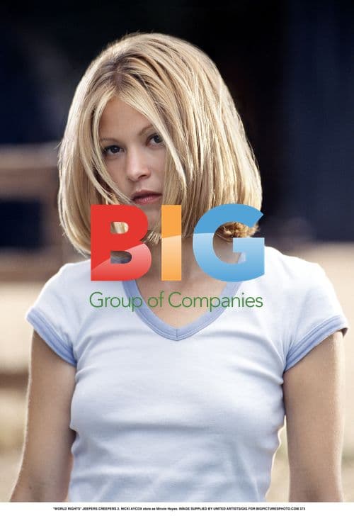 Nicki Aycox in 'Jeepers Creepers 2'