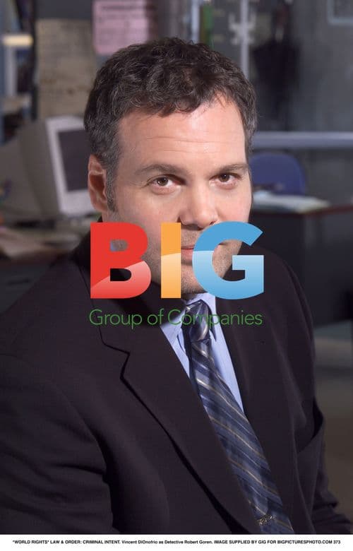 Vincent D'Onofrio as Detective Goren