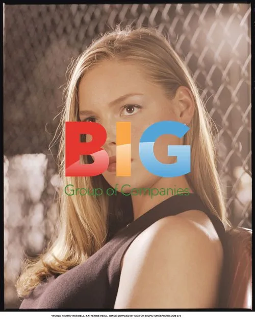 Katherine Heigl Portrait