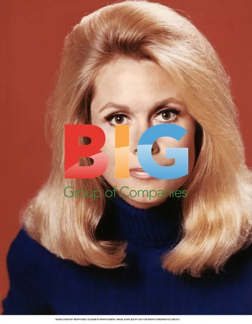 Elizabeth Montgomery in Bewitched