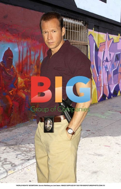 Donnie Wahlberg as Joel Sears