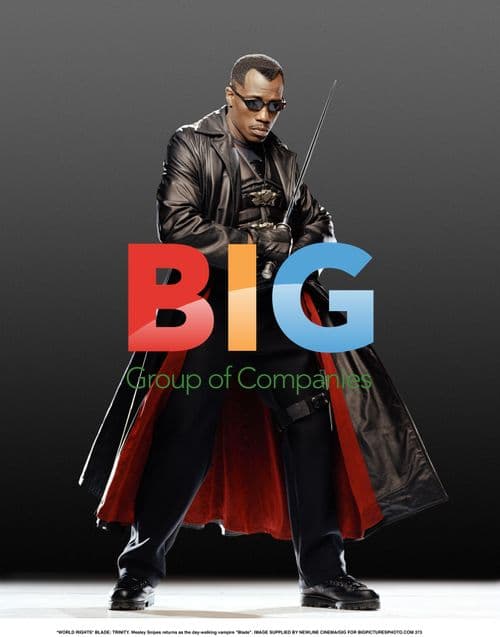 Wesley Snipes as Blade