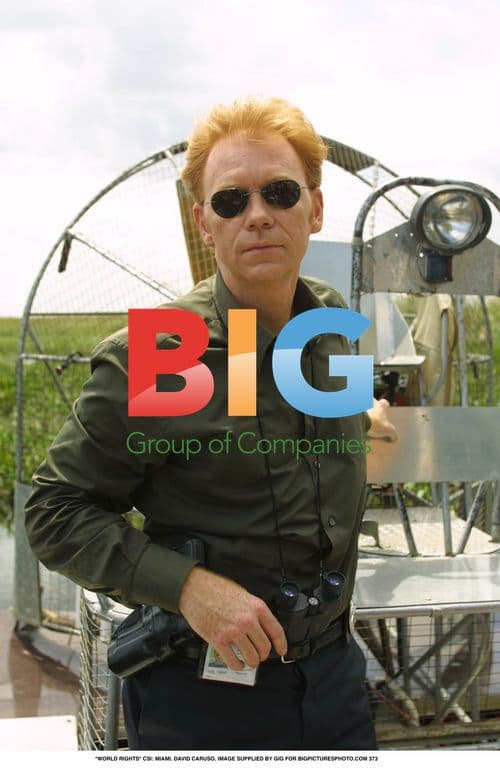 David Caruso in CSI: Miami