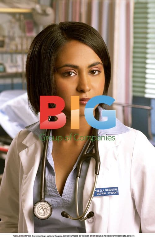 Parminder Nagra as Neela Rasgotra