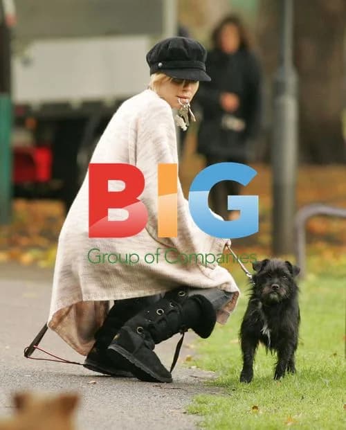 Sienna Miller Walks Dogs in London